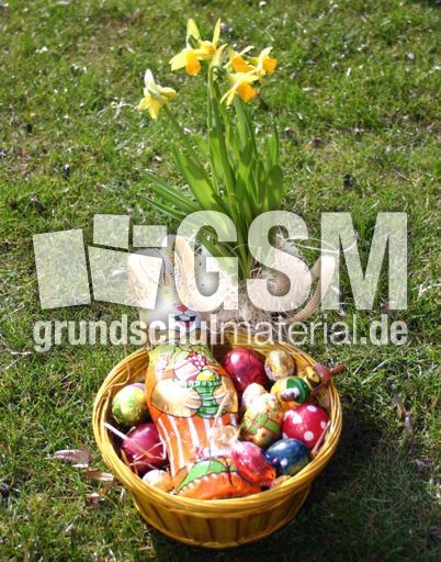 Osterglocken-Nest-1.jpg
